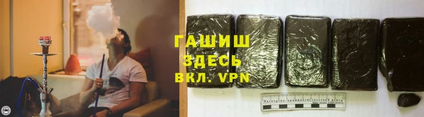 прущие грибы Верхний Тагил