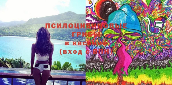 прущие грибы Верхний Тагил