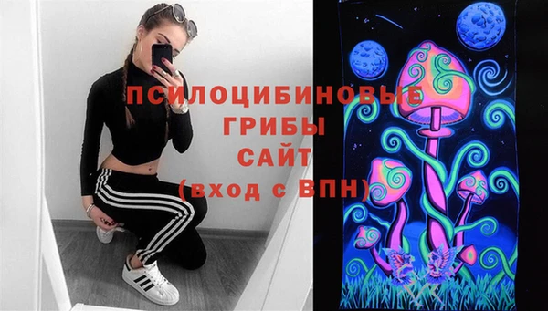 таблы Верея