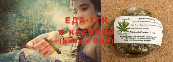 прущие грибы Верхний Тагил
