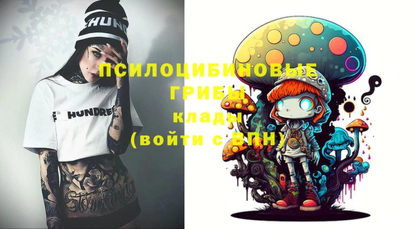 прущие грибы Верхний Тагил