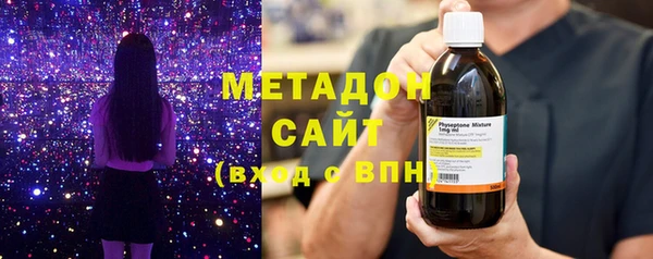 прущие грибы Верхний Тагил