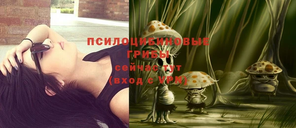 молекула духа Бронницы