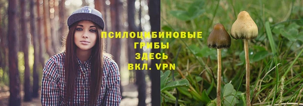 мдпв Верхнеуральск