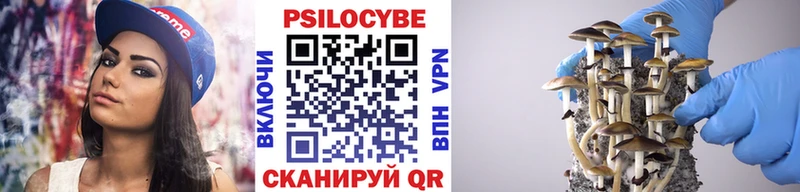 Псилоцибиновые грибы Psilocybe Купить закладки Ртищево